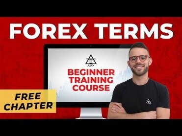 Forex Trading Education And Training