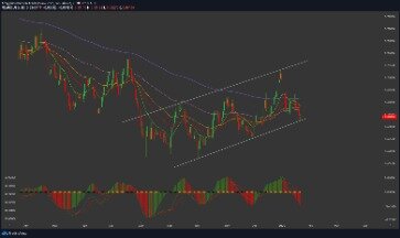 Technical & Fundamental Analysis