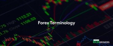Forex Terminology, Definitions And Slang With Free Pdf