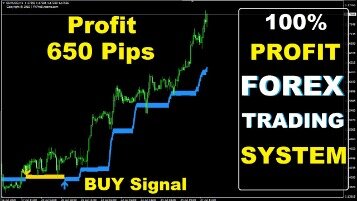 Forex Signals And Copy Trading